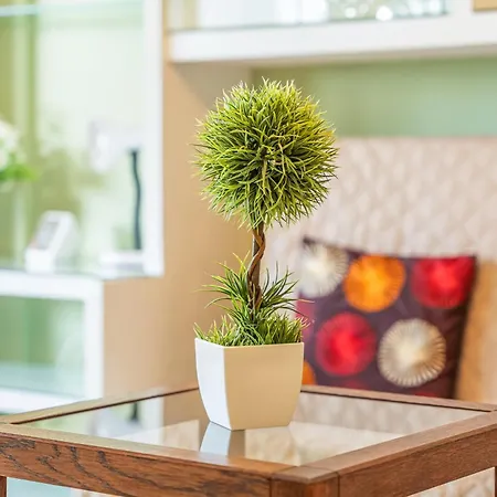 Apartament Ceyla 214 *