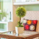 Apartament Ceyla 214 Arona (Tenerife)