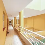 Ceyla 214 Apartament Arona (Tenerife)